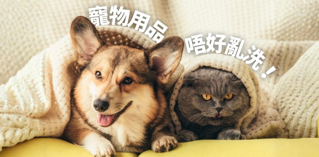 【主人必睇】5招告別貓狗毛髮與異味！